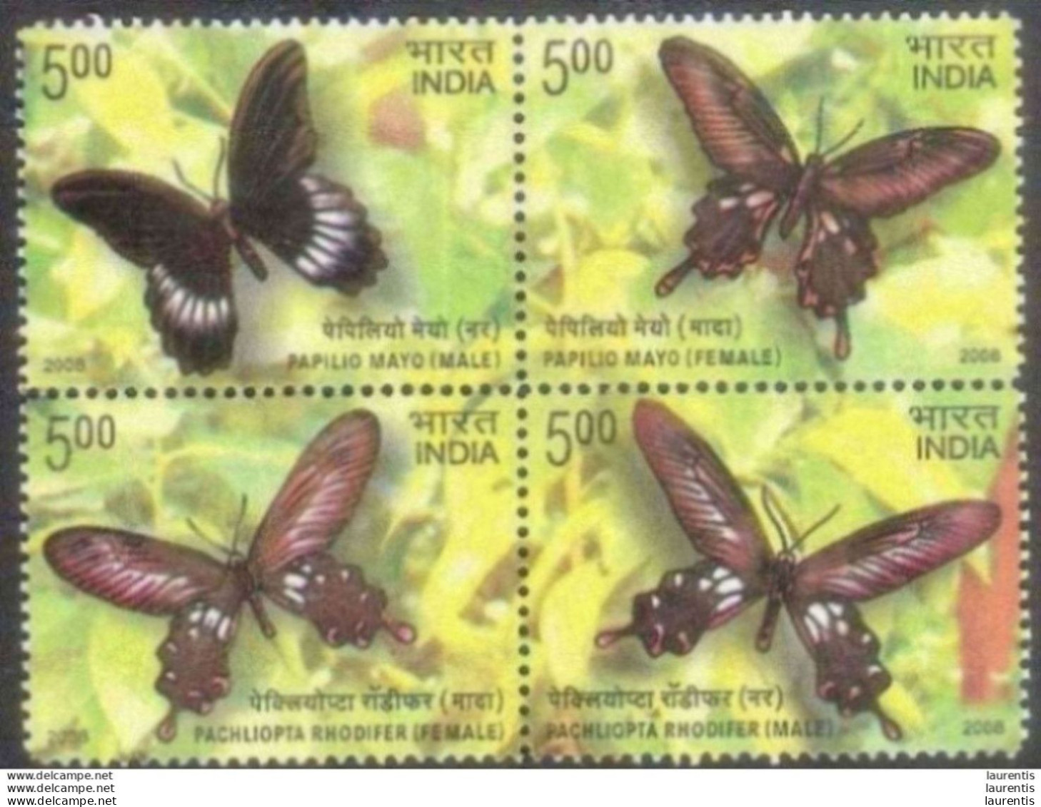 783  Butterflies - Papillons - India Yv 2022-25 MNH - 1,75 . (5) - Butterflies