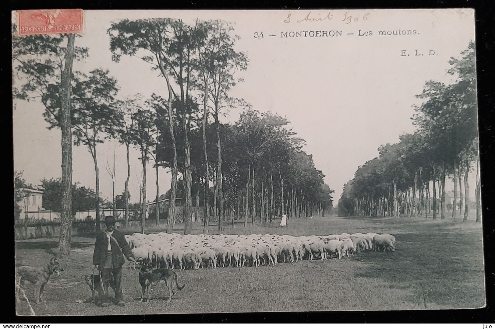 91 - MONTGERON - Les Moutons - Montgeron