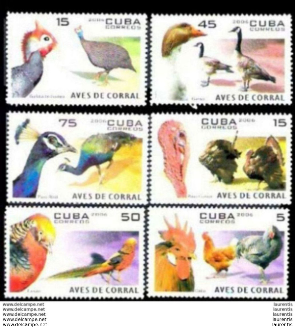 D7660  Birds - Oiseaux - Ducks - Farm - Volaille - 2006 - No Gum - Cb - 1,35 . - Otros & Sin Clasificación