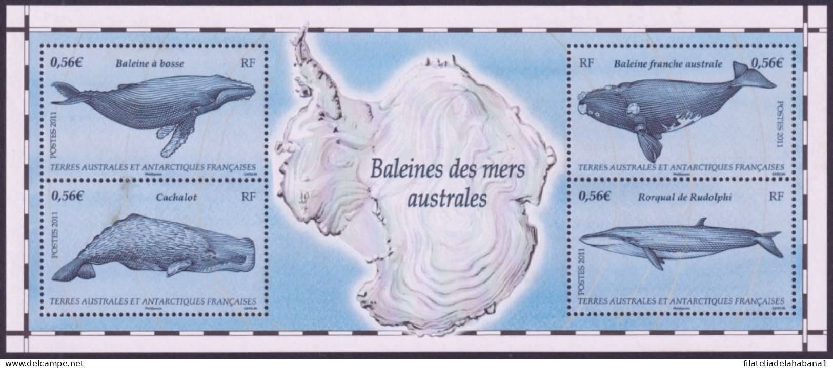 F-EX49834 TAAF FRANCE ANTARCTIC MNH 2011 MARINE WILDLIFE FISH WHALE OF SOUTHERN. - Baleines
