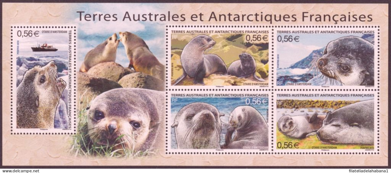 F-EX49838 TAAF FRANCE ANTARCTIC MNH 2010 MARINE SEAL WILDLIFE - Other & Unclassified