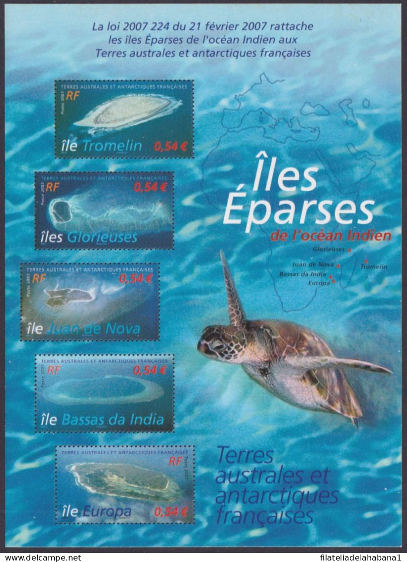 F-EX49826 TAAF FRANCE ANTARCTIC MNH 2007 MARINE WILDLIFE TURTLE ESPARSES ILES.  - Tortues