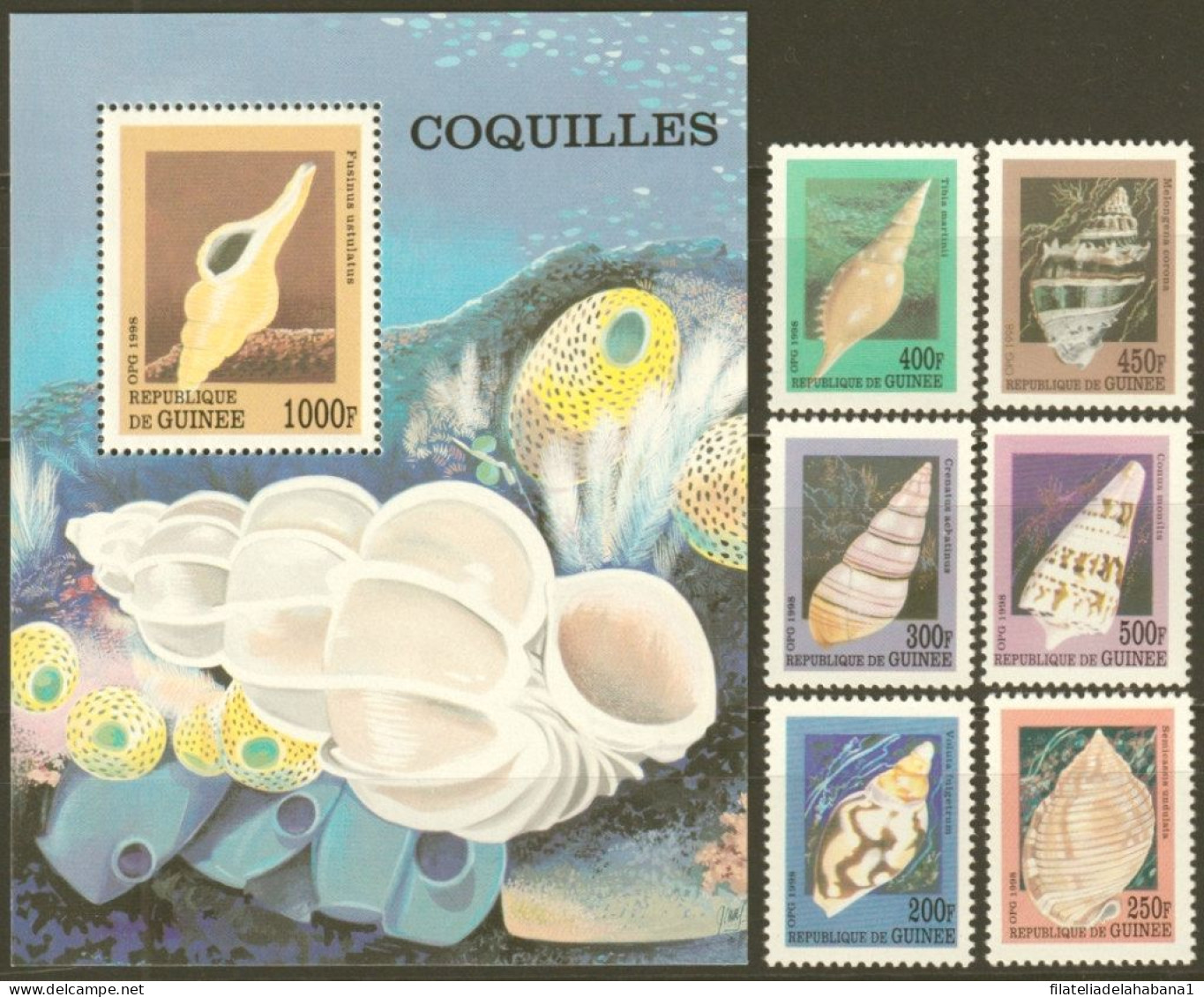 F-EX50281 GUINEA GUINEE MNH MARINE COQUILLES REEF CORAL. WILDLIFE SHELL SNAIL  - Coquillages