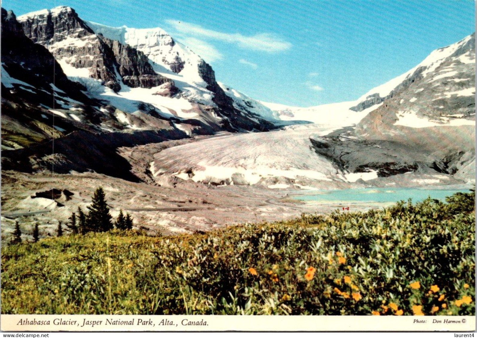 7-5-2024 (4 Z 28) Canada - Athabasca Glacier In Jasper - Jasper