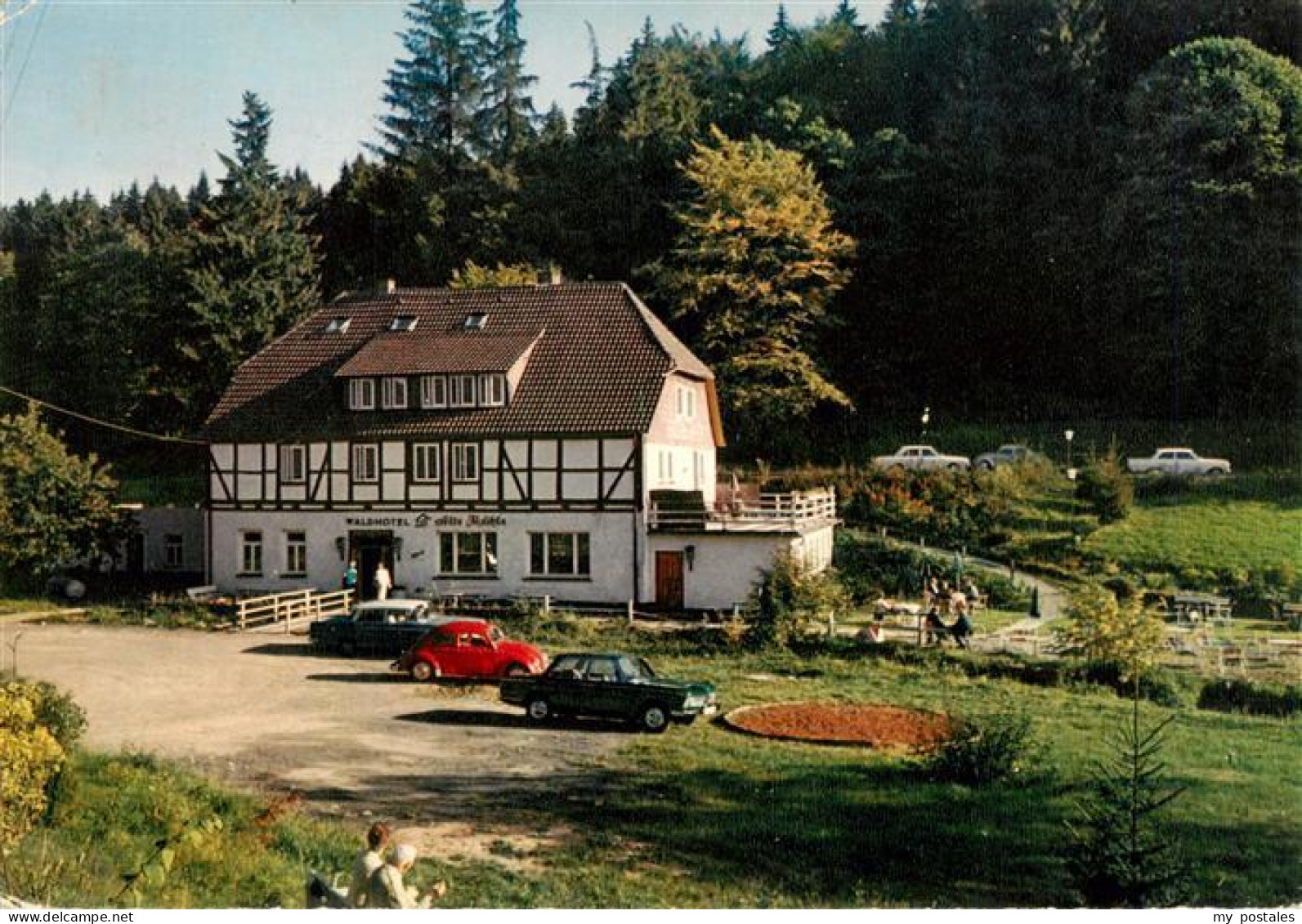 73944030 Fohlenplacken Waldhotel Alte Muehle - Holzminden