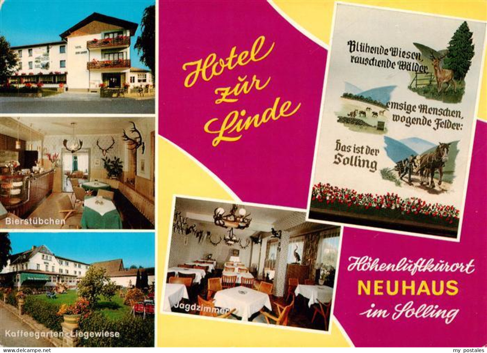 73944022 Neuhaus_Solling Hotel Zur Linde Bierstuebchen Kaffeegarten Liegewiese J - Holzminden
