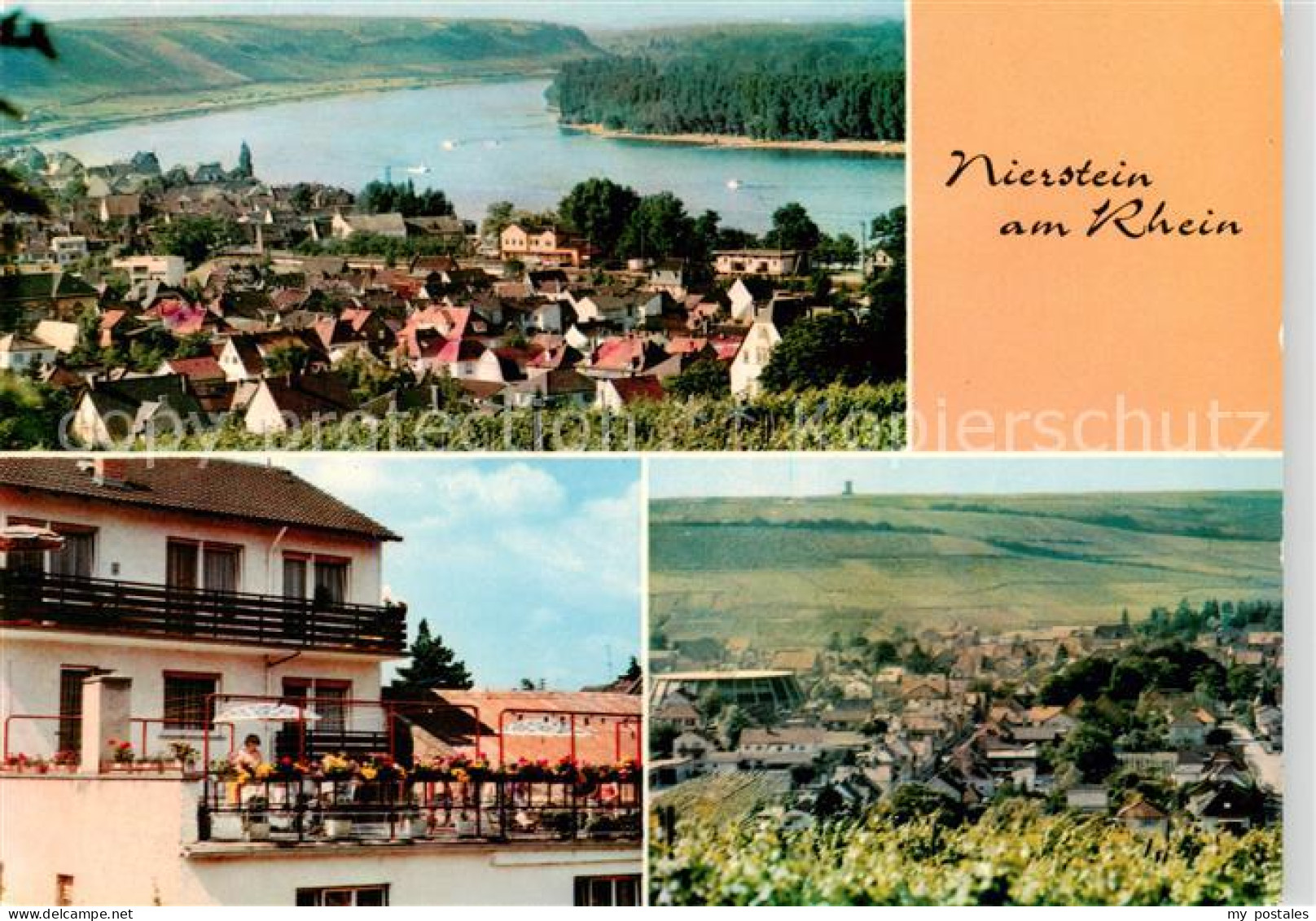 73864051 Nierstein Rhein Panorama Fremdenzimmer Eva Bingenheimer Panorama Nierst - Nierstein