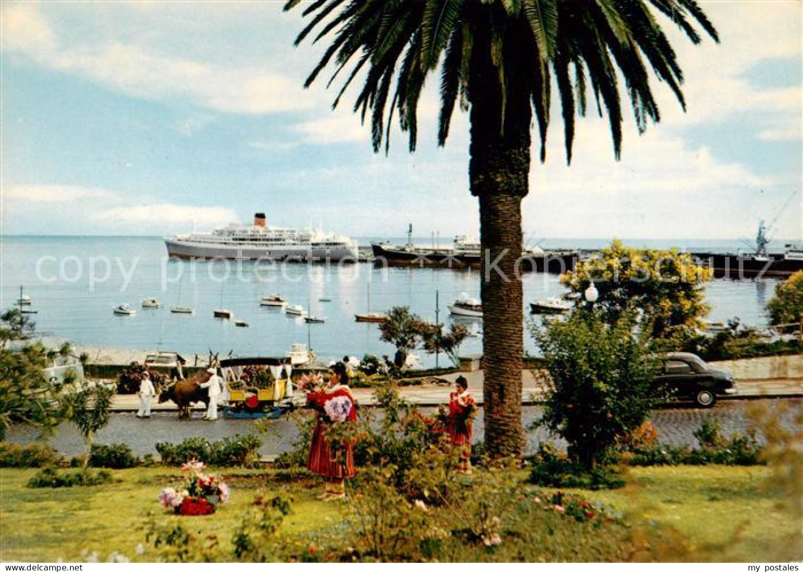 73796106 Funchal Madeira PT Panorama  - Sonstige & Ohne Zuordnung