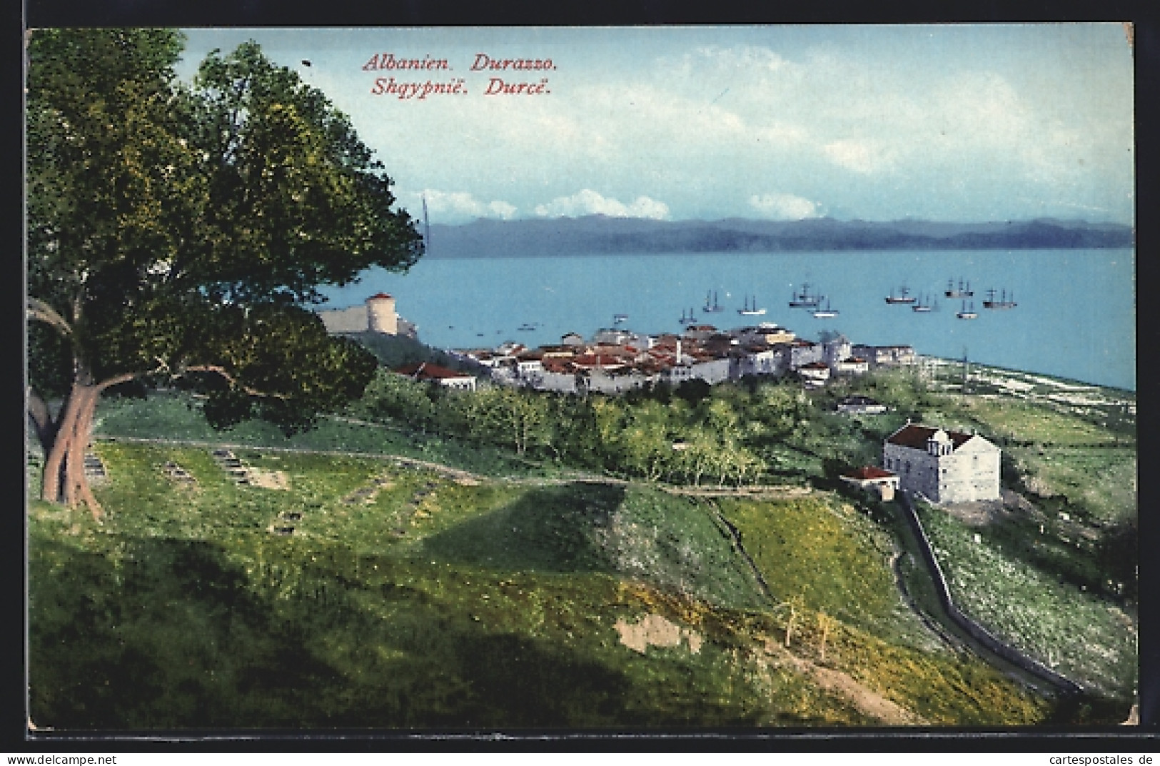 AK Durazzo, Panorama  - Albanie