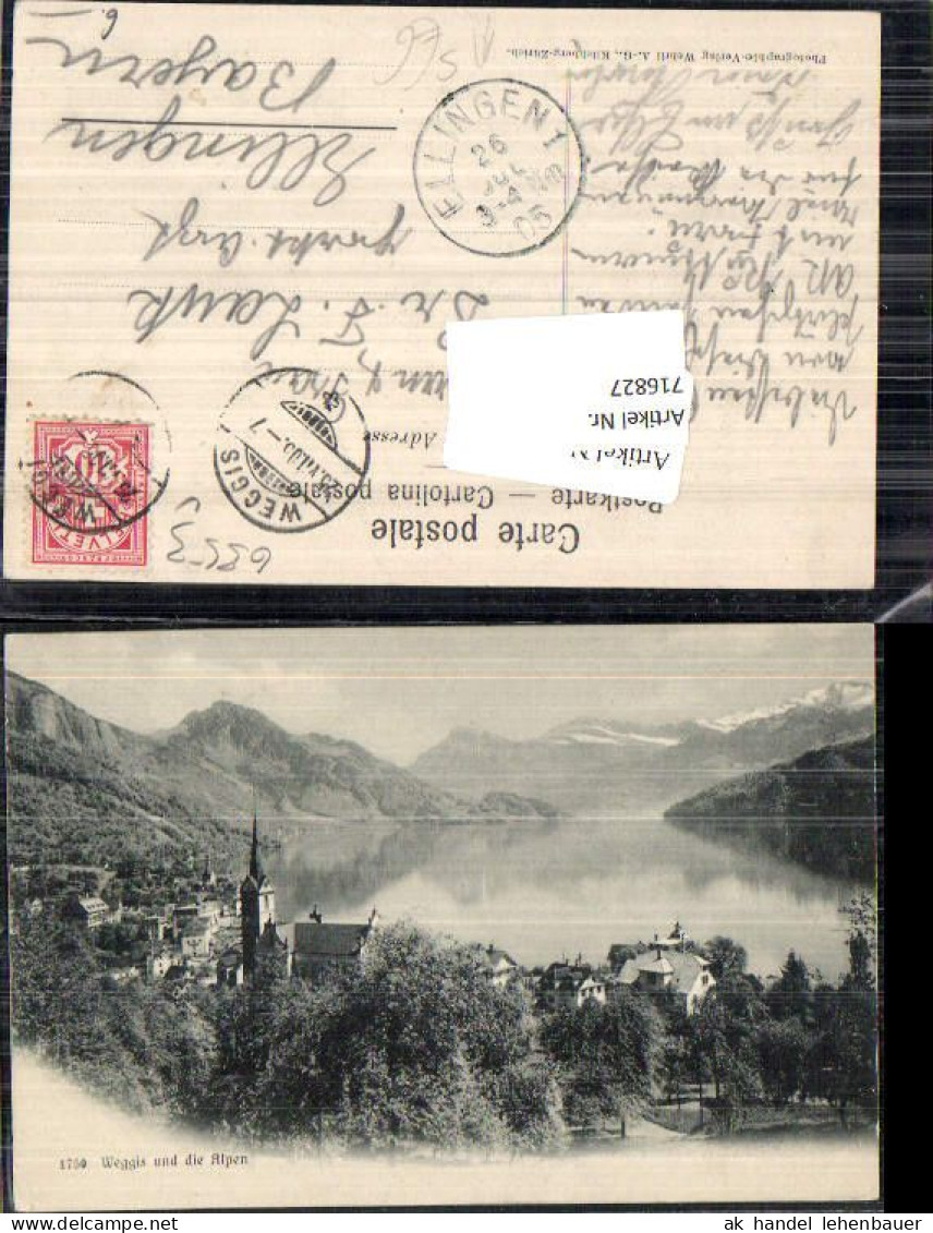 716827 Weggis Am Vierwaldstättersee Alpen Stp. Ellingen Bayern 1905 - Weggis