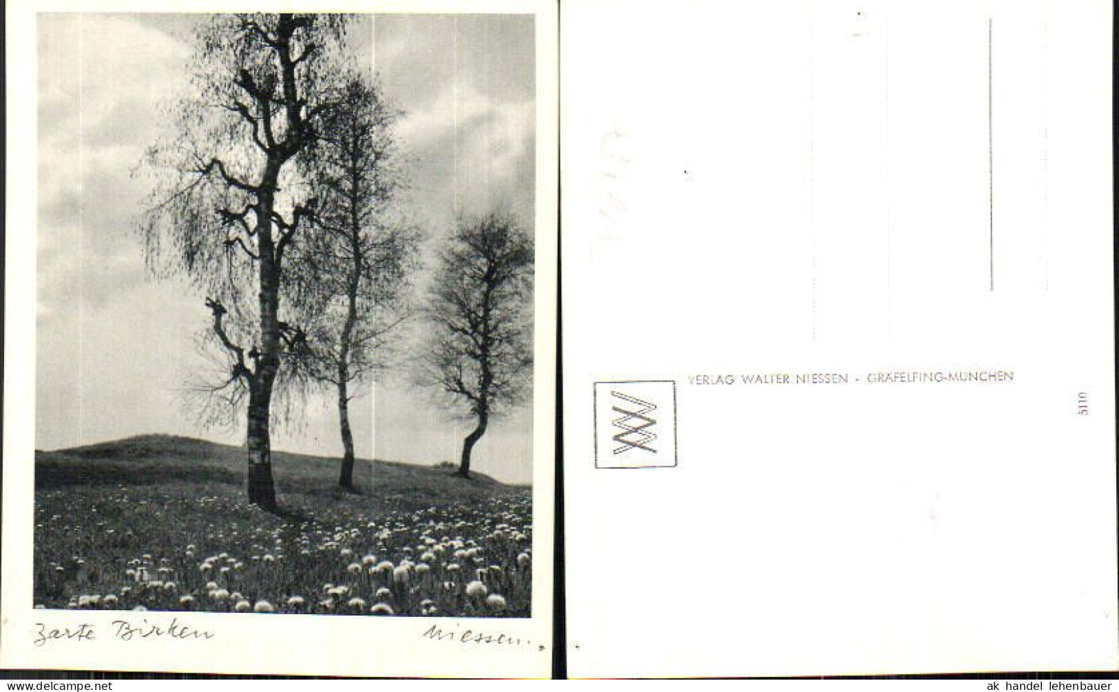 716487 Verlag Walter Niessen Gräfelfing München Birken Bäume - Photographie