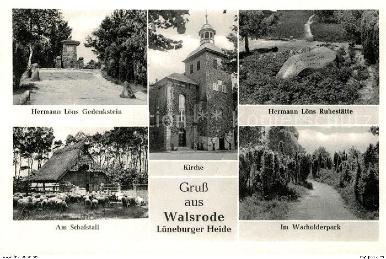 73248513 Walsrode Lueneburger Heide Hermann Loens Gedenkstein Und Ruhestaette Sc - Walsrode
