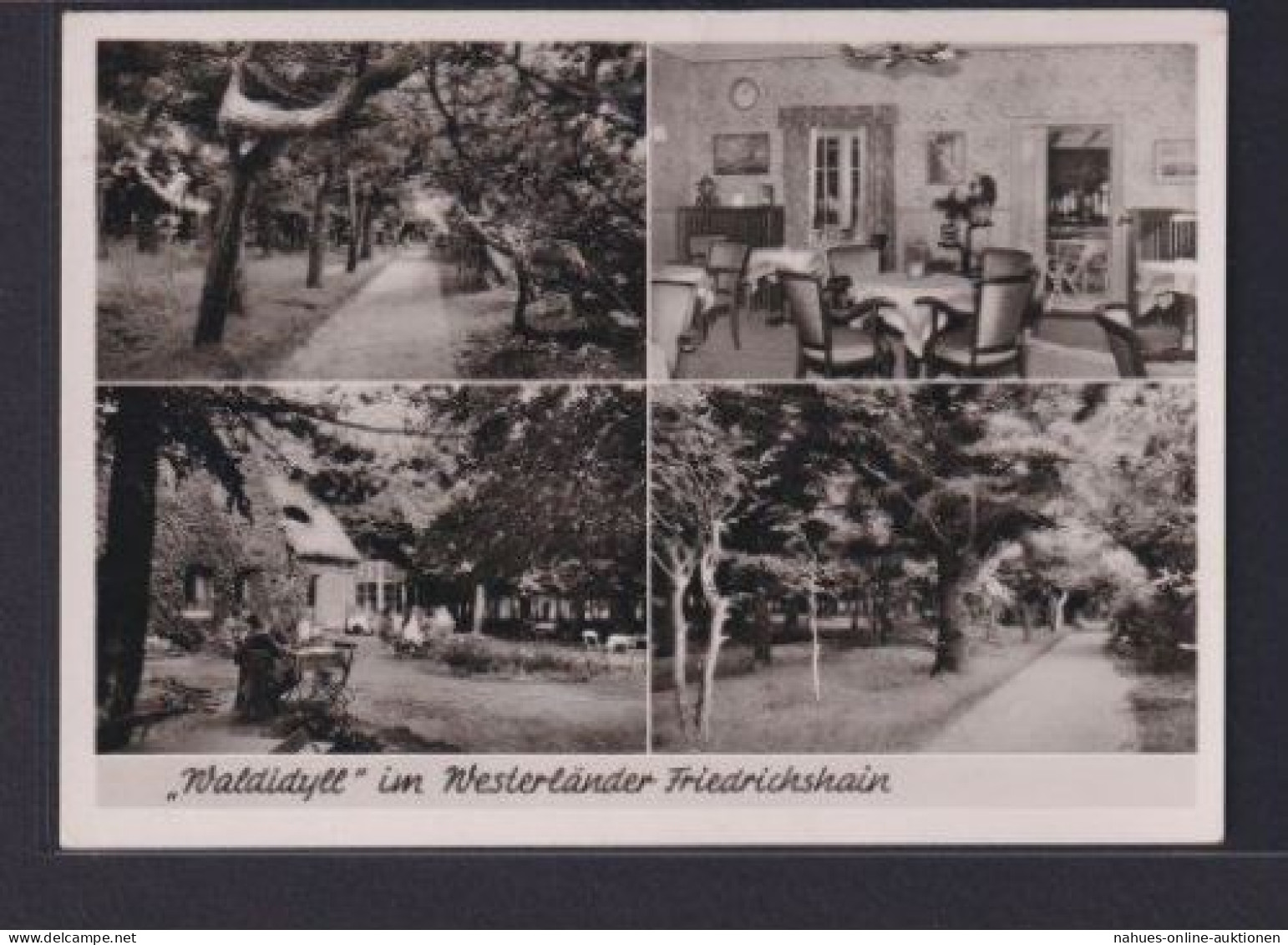 Ansichtskarte Friedrichshain Schleswig Holstein Westerland Sylt Cafe Waldidyll - Other & Unclassified
