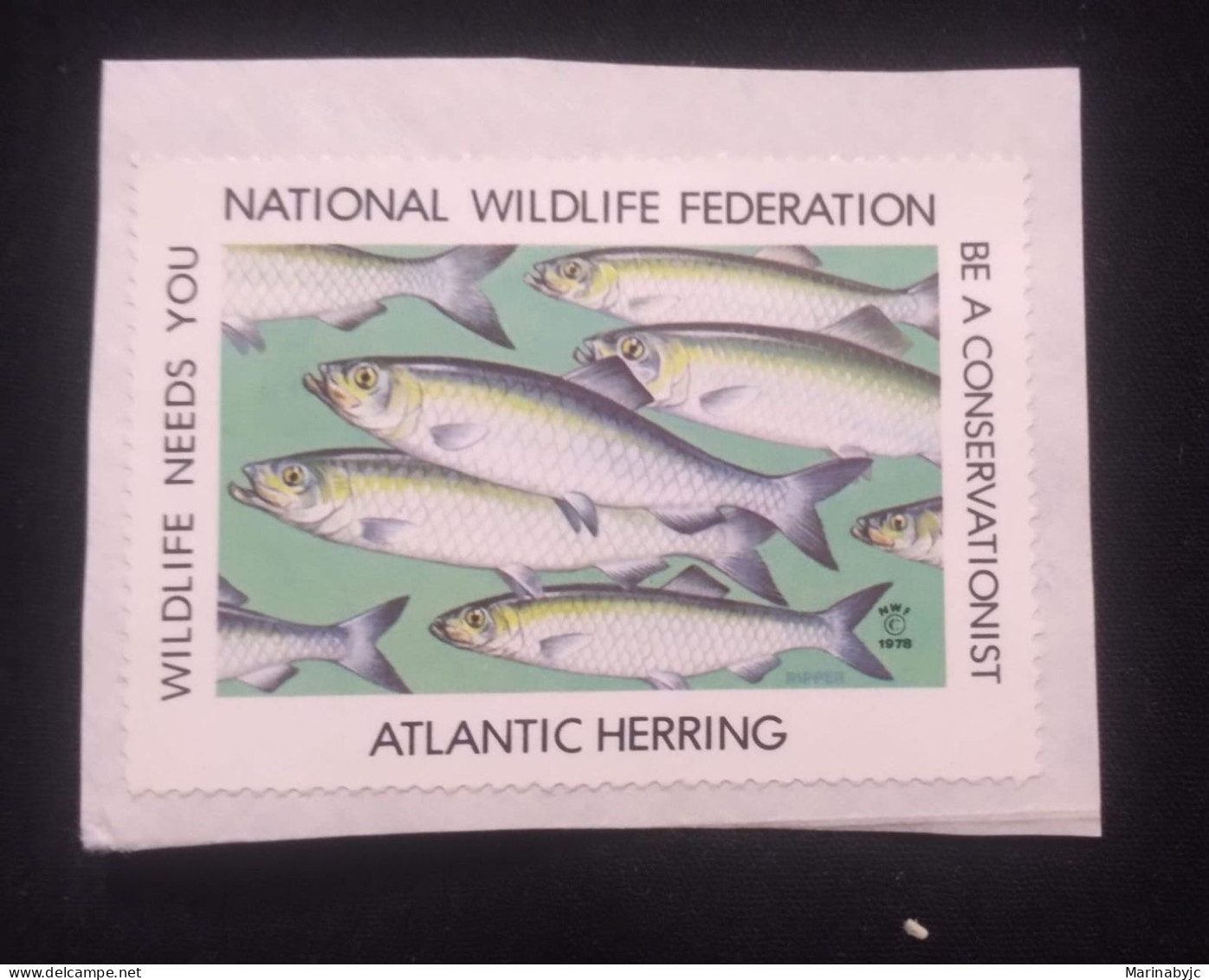 C) 1978, UNITED STATES, NATIONAL WILDLIFE FEDERATION FISH STAMP. MINT - Otros & Sin Clasificación