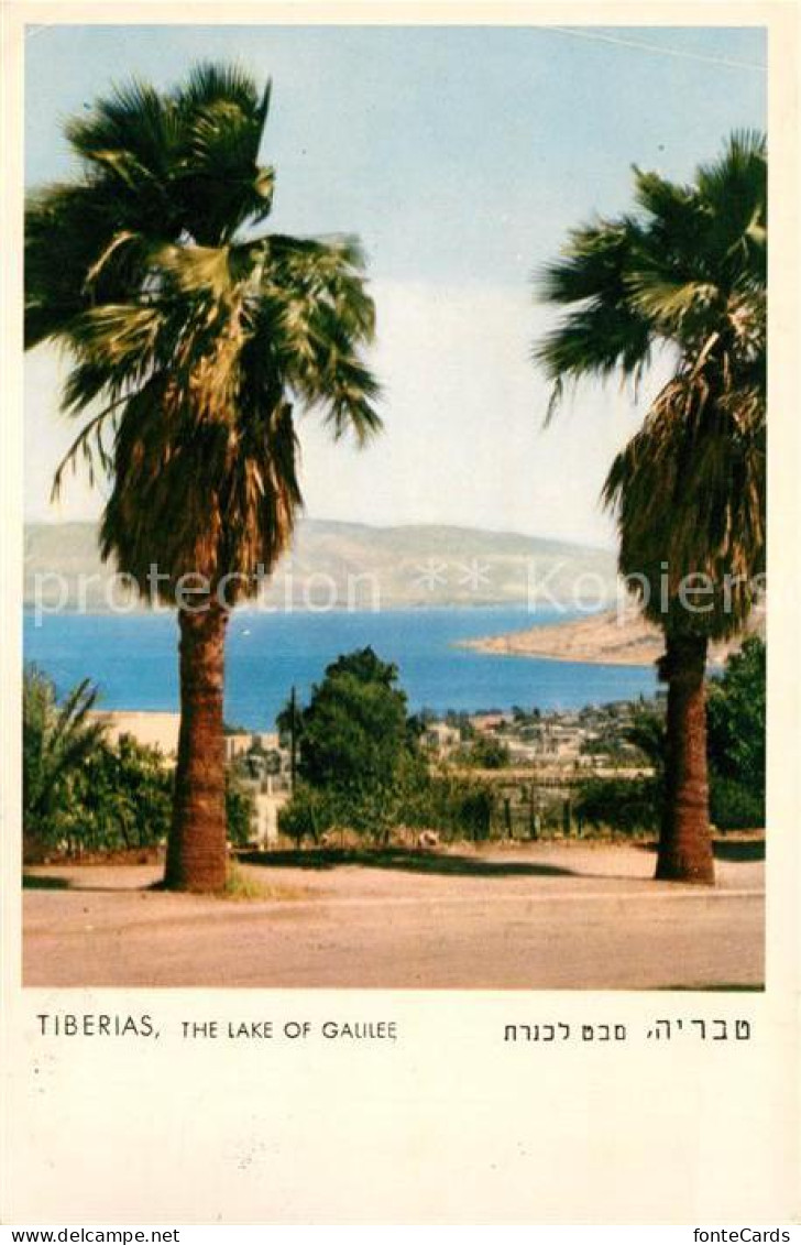 73130031 Tiberias The Lake Of Galilee Tiberias - Israel
