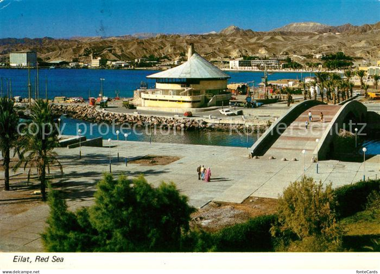 73128814 Eilat Red Sea Eilat - Israel