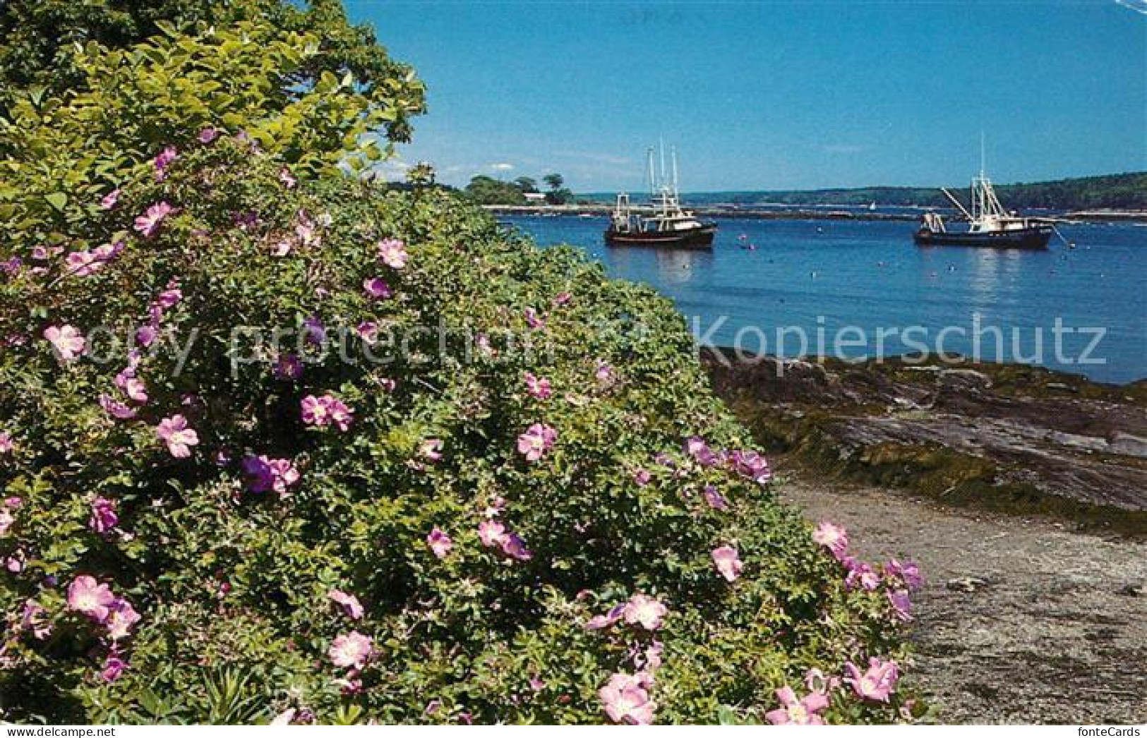 73123577 Cundys_Harbor_Maine Commerical Fishing Boats Flowers - Sonstige & Ohne Zuordnung