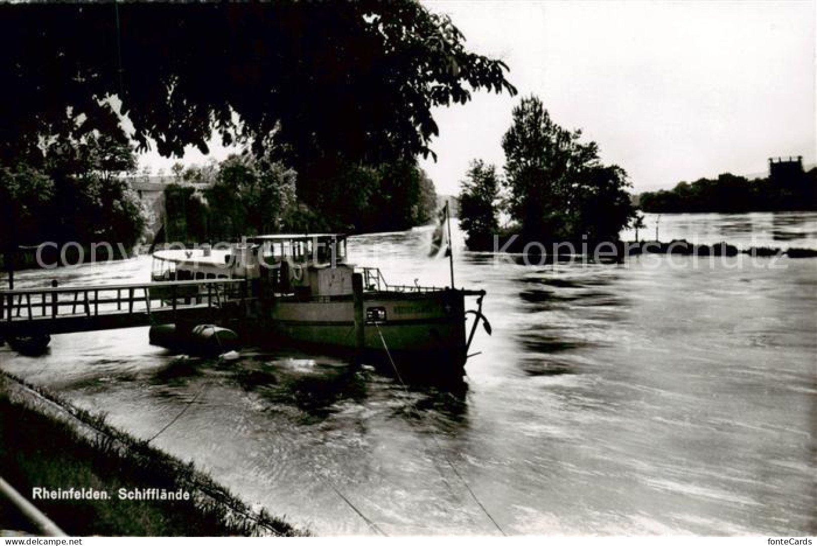 13795576 Rheinfelden AG Schifflaende Fahrgastschiff Rheinfelden AG - Sonstige & Ohne Zuordnung