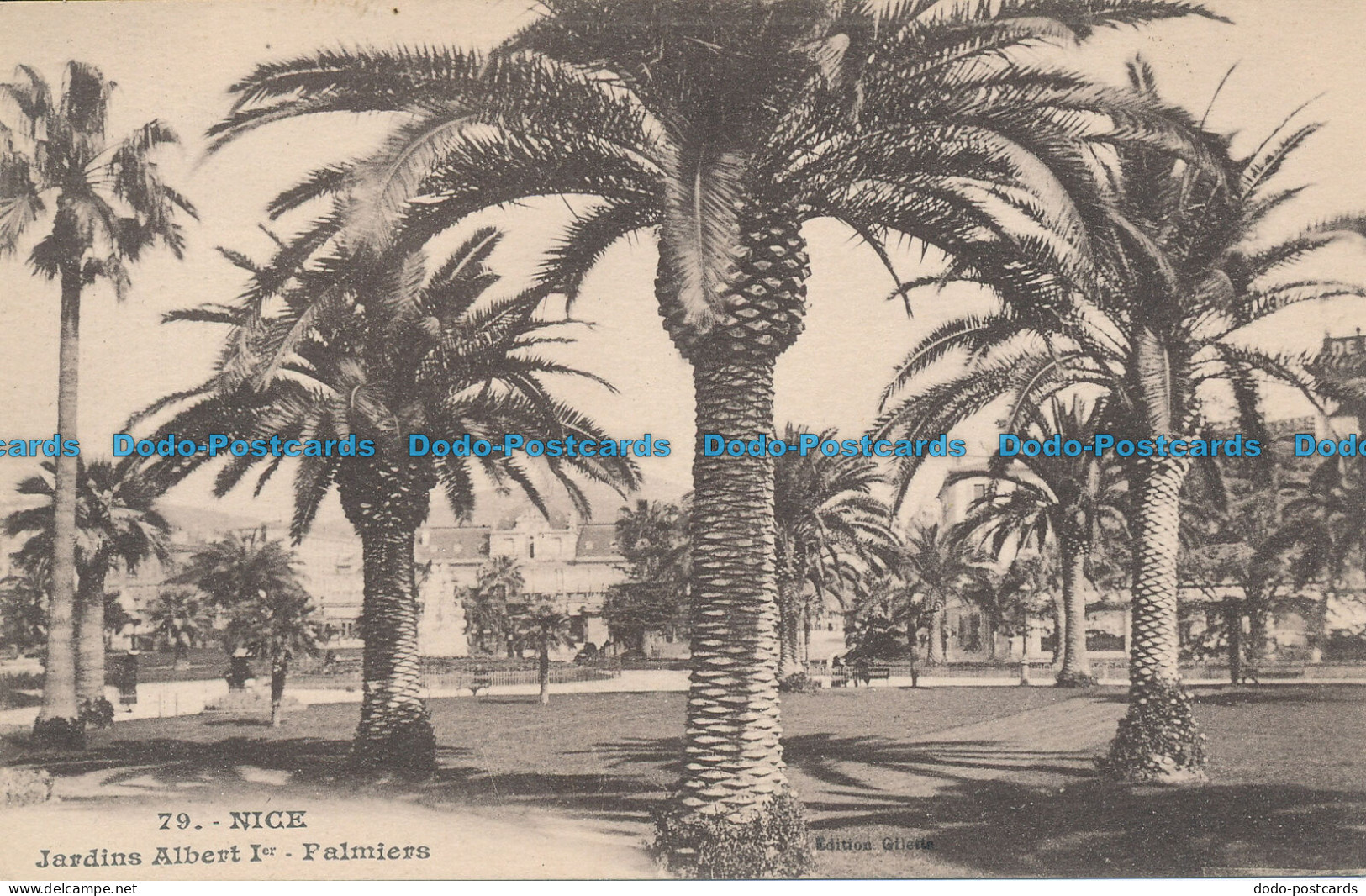 R037614 Nice. Jardins Albert Ier. Palmiers. Giletta. B. Hopkins - World