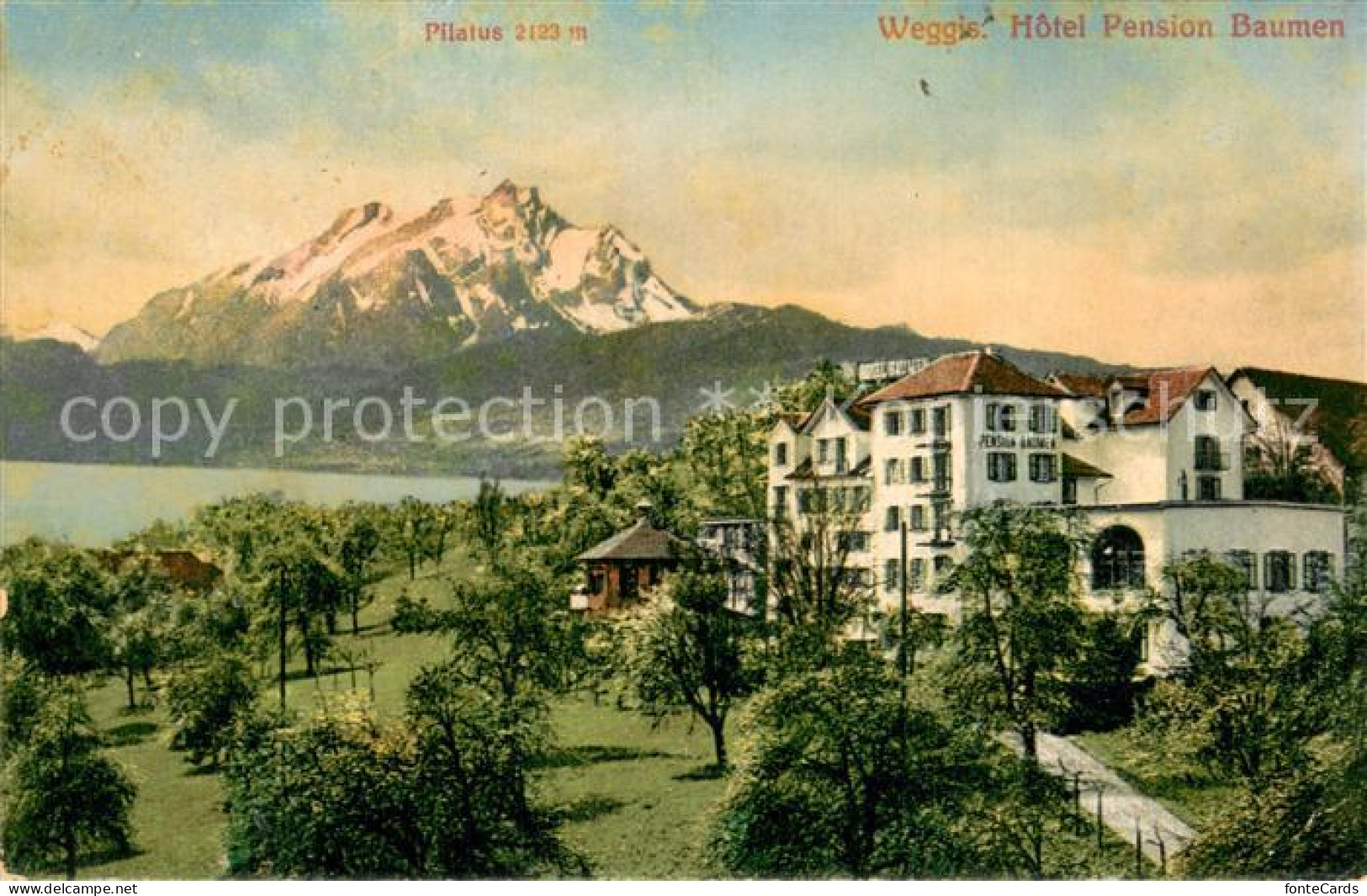 13745816 Weggis Vierwaldstaettersee Hotel-Pension Baumen M. See U. Pilatus Weggi - Autres & Non Classés