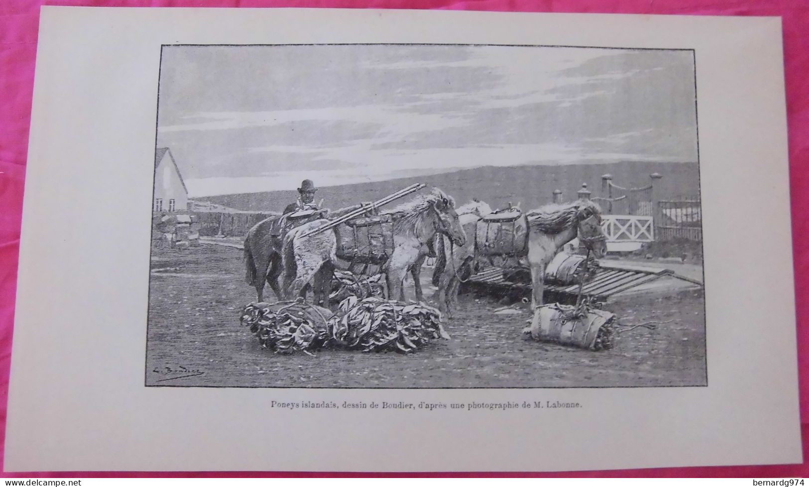 Islande Island : nine antique prints