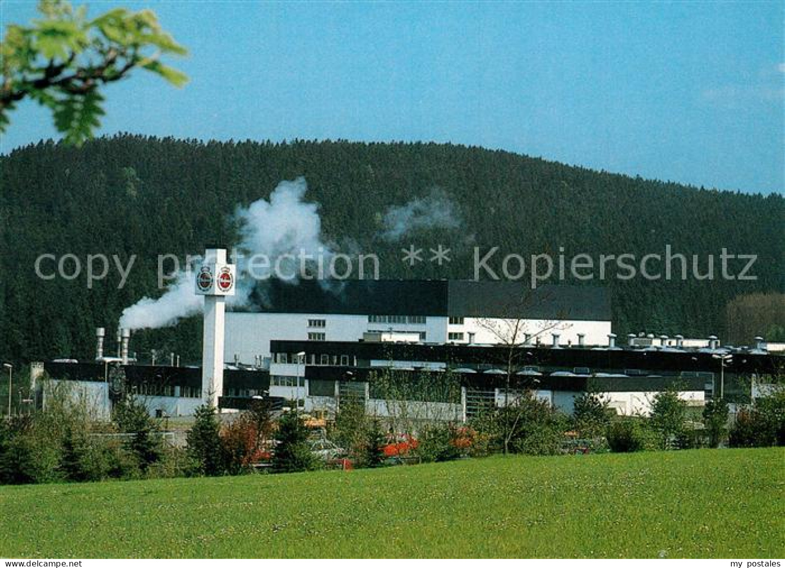 73247050 Warstein Warsteiner Brauerei Im Waldpark Warstein - Warstein