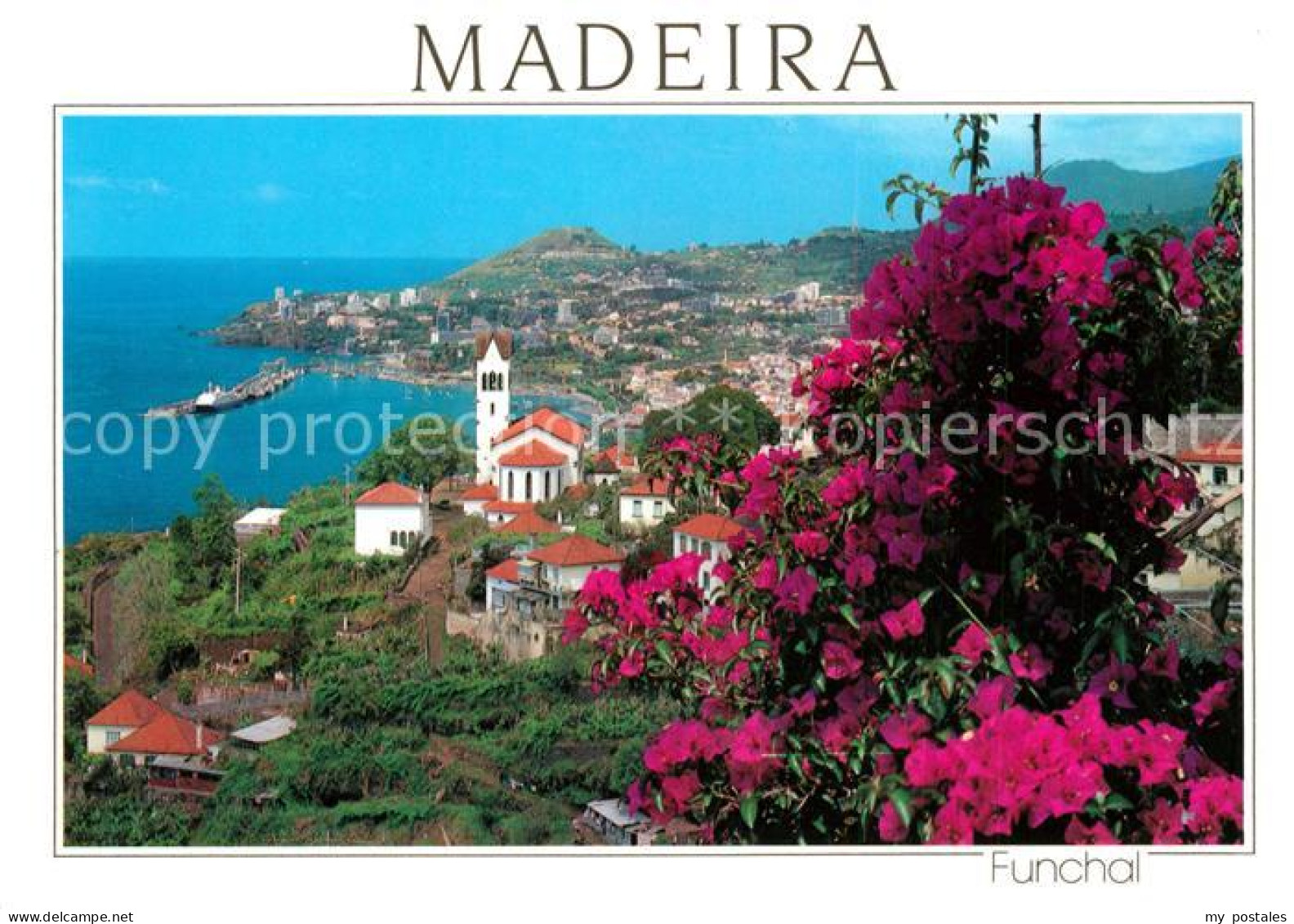 73246791 Funchal Panorama Blick Von Westen Blumen Funchal - Autres & Non Classés