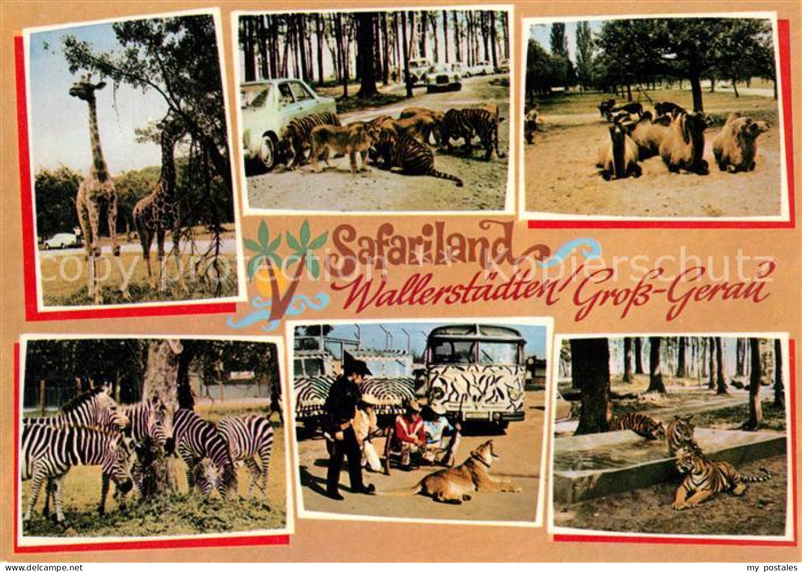 73246784 Gross-Gerau Safariland Wallerstaedten Gross-Gerau - Gross-Gerau