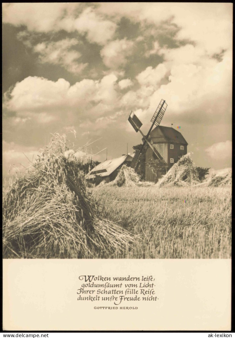 Ansichtskarte  DDR AK Stimmungsbild Natur: Wolkenspiel Mit Windmühle 1966 - Unclassified