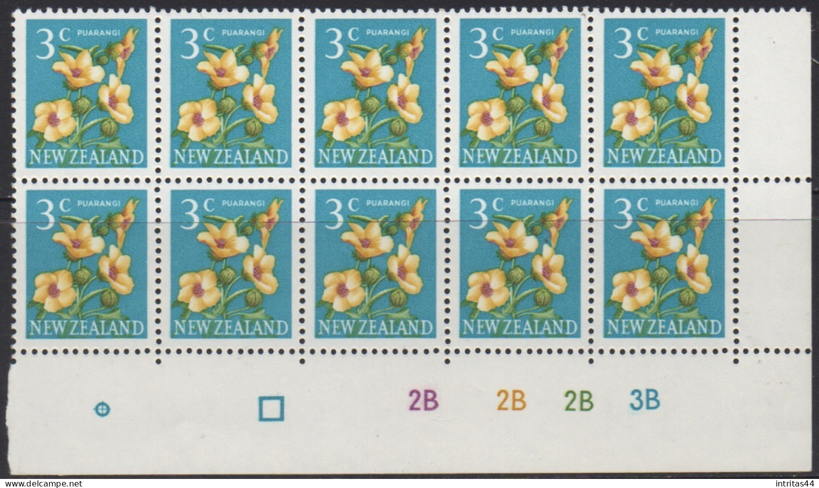 NEW ZEALAND 1967 DECIMAL PICTORIALS  " 3c PUARANGI " IMPRINT BLOCK OF (10) MNH - Ungebraucht