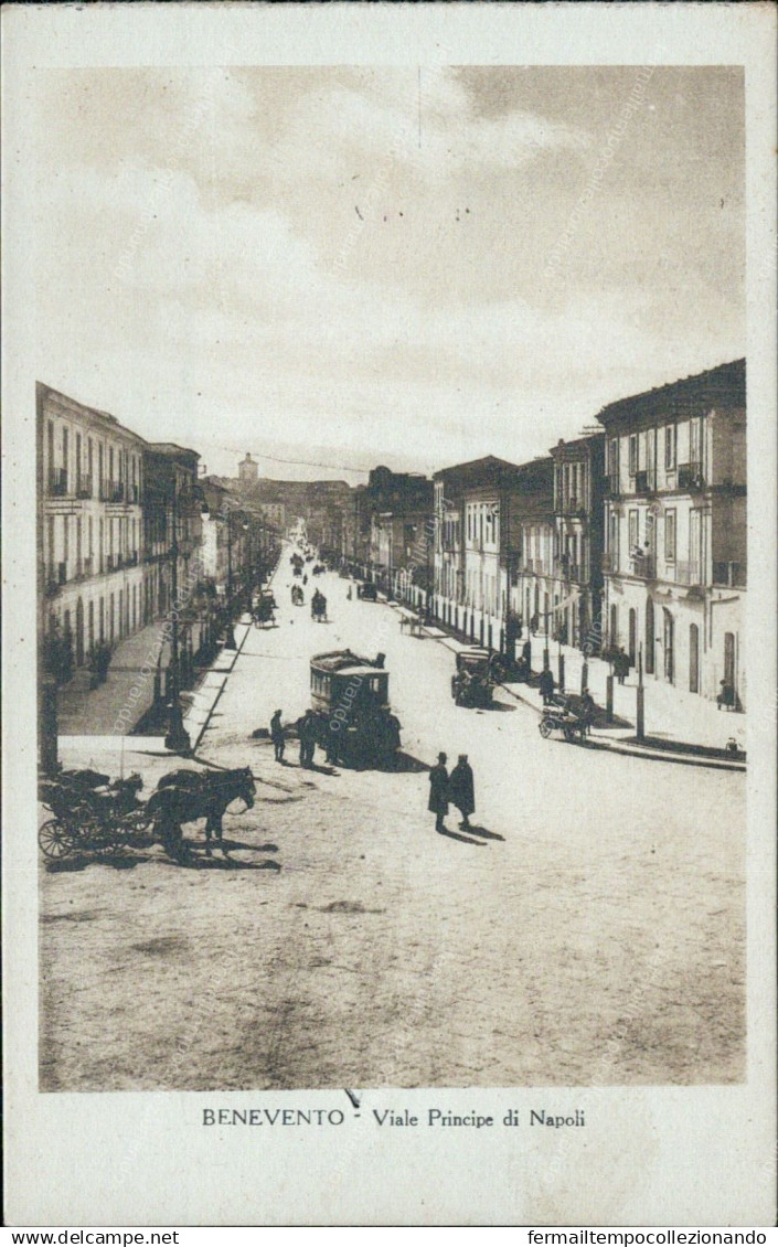 V733 Cartolina Benevento Citta' Viale Principe Di Napoli Campania - Benevento