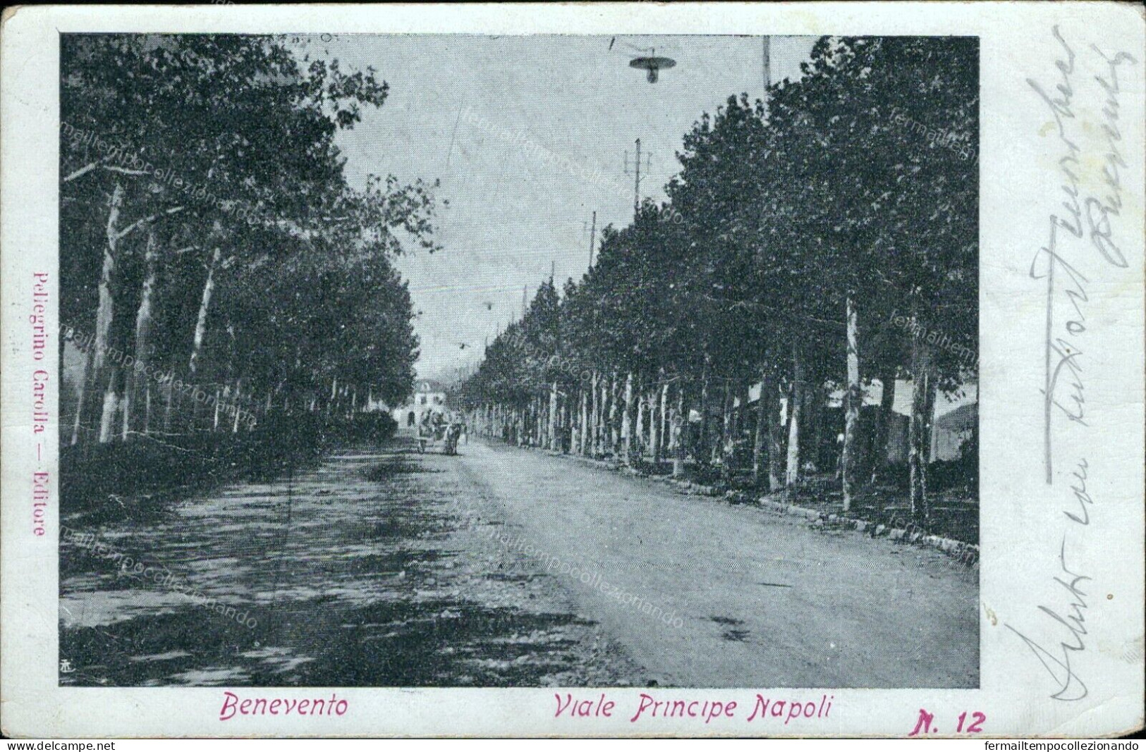 V740 Cartolina Benevento Citta' Viale Principe Di Napoli 1905 - Benevento