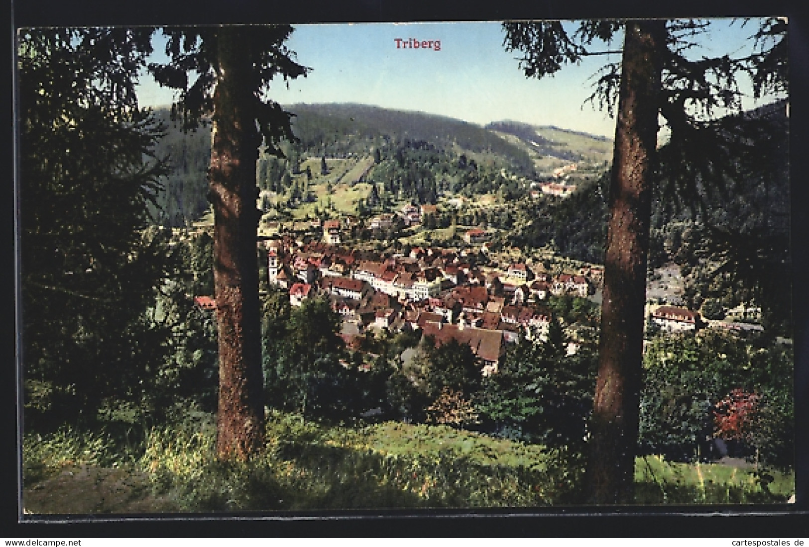 AK Triberg, Teilansicht Mit Bäumen  - Triberg