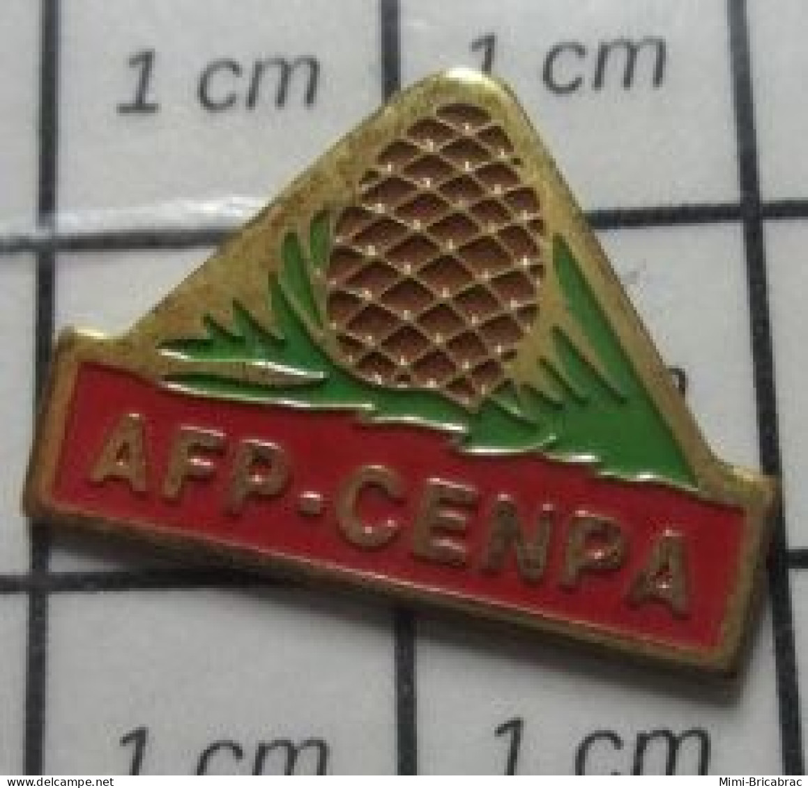 1818A Pin's Pins / Beau Et Rare / MARQUES / AFP CENPA POMME DE PIN - Trademarks