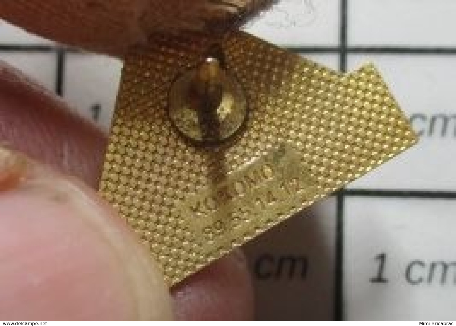 1818A Pin's Pins / Beau Et Rare / MARQUES / AFP CENPA POMME DE PIN - Trademarks