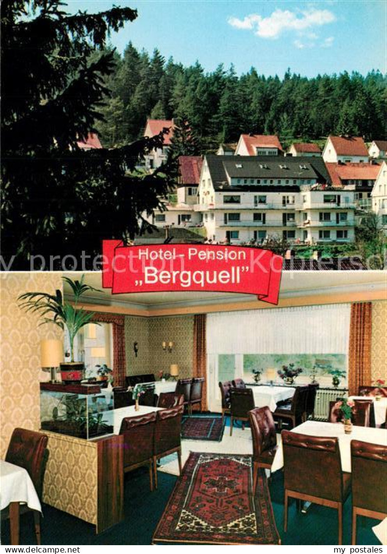 73244829 Altenau Harz Hotel Pension Bergquell Altenau Harz - Altenau