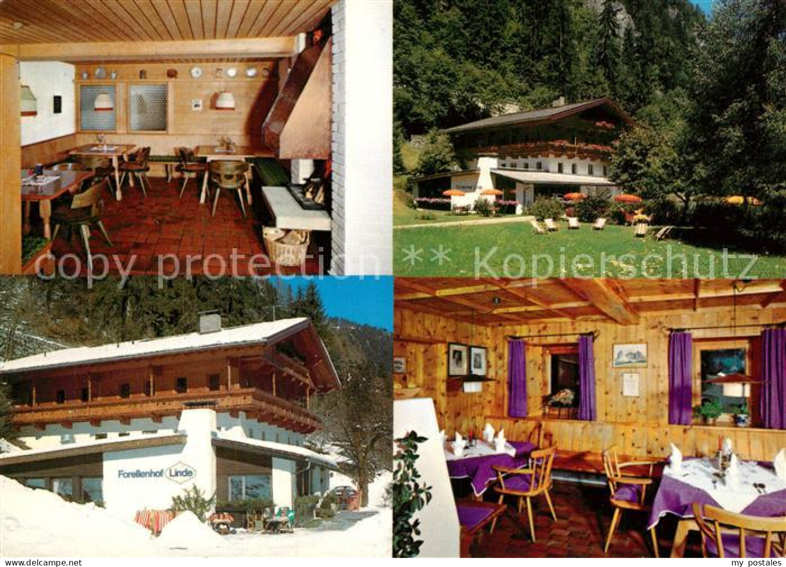 73244745 Mayrhofen Zillertal Gasthof Pension Forellenhof Linde Mayrhofen Zillert - Other & Unclassified