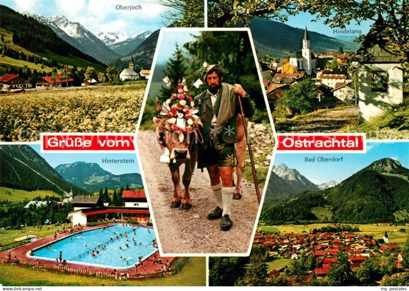 73244610 Ostrachtal Almabtrieb Oberjoch Hindelang Bad-Oberdorf Hinterstein Ostra - Hindelang