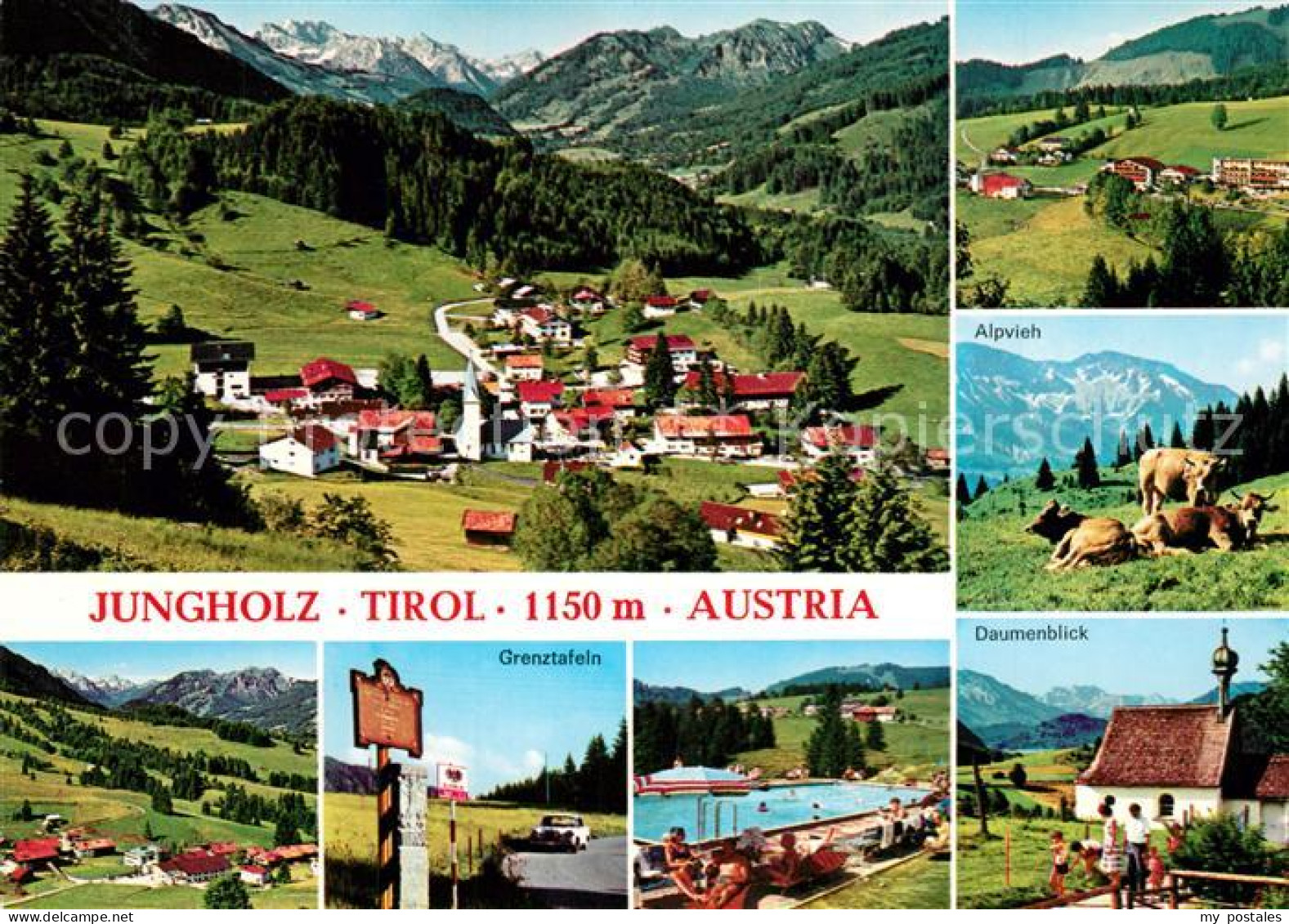 73244300 Jungholz Tirol Daumenblick Alpvieh Grenztafeln  Jungholz Tirol - Otros & Sin Clasificación