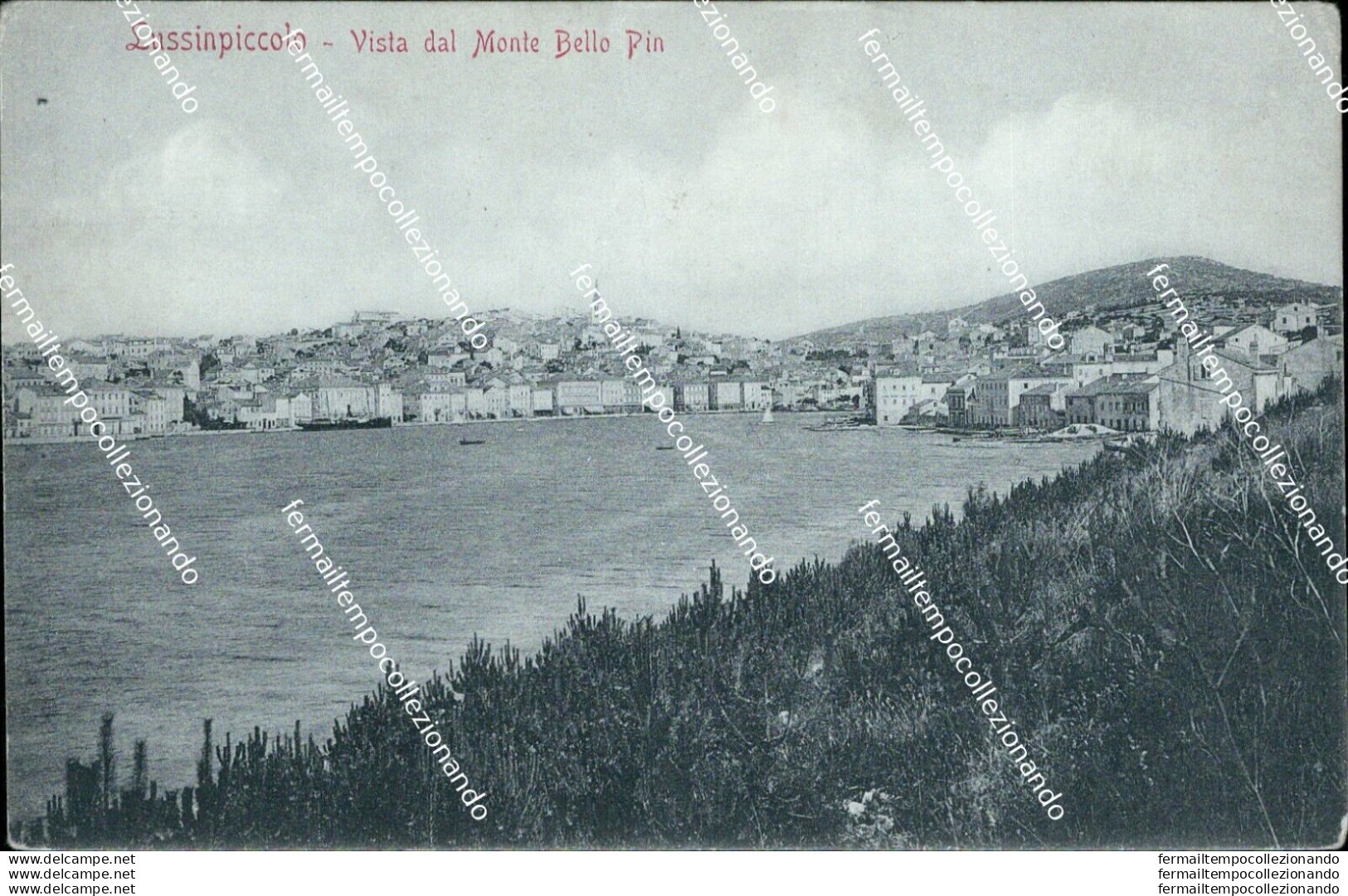 Bd4 Cartolina Lussinpiccolo Vista Dal Monte Bello Pin Piega Croazia - Altri & Non Classificati