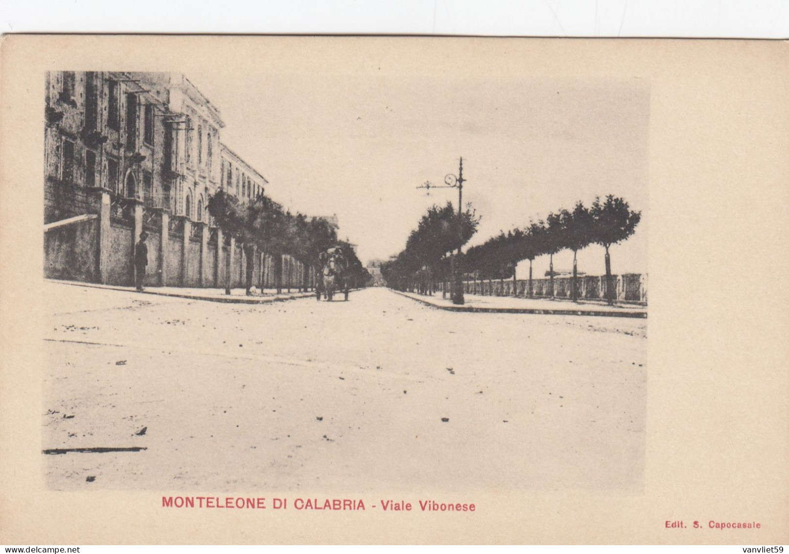 MONTELEONE DI CALABRIA-VIBO VALENTIA-VIALE VIBONESE  CARTOLINA NON VIAGGIATA 1900-1904-RETRO INDIVISO - Vibo Valentia