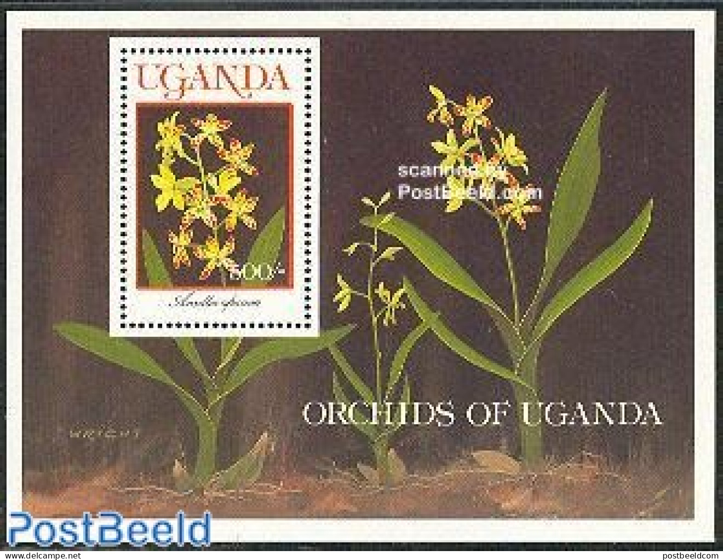 Uganda 1989 Orchids S/s, Ansellia Africana, Mint NH, Nature - Flowers & Plants - Orchids - Autres & Non Classés