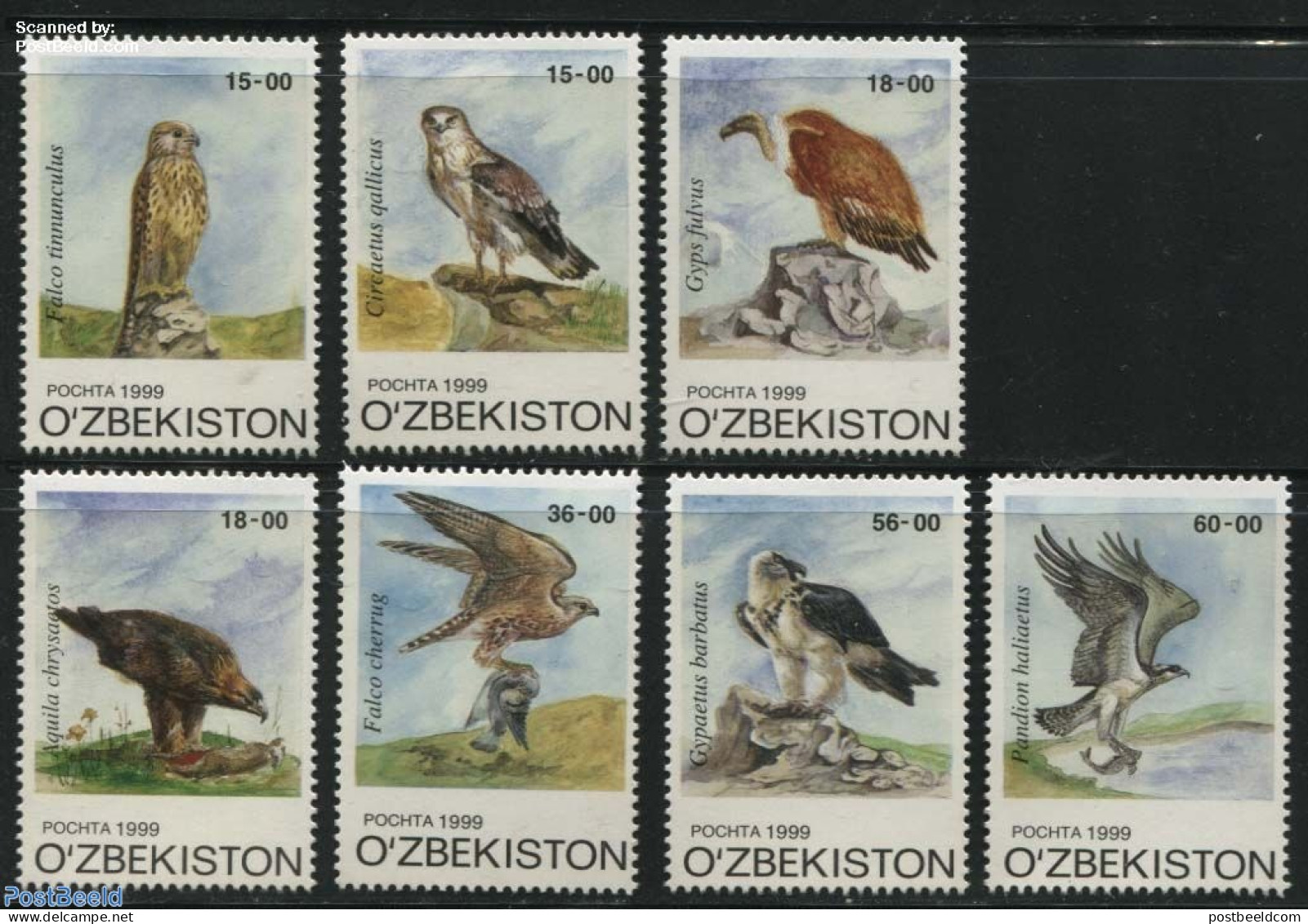 Uzbekistan 1999 Birds Of Prey 7v, Mint NH, Nature - Birds - Birds Of Prey - Uzbekistán