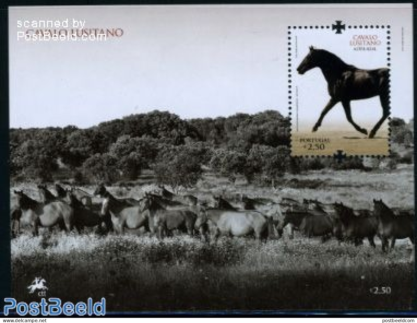Portugal 2009 Horse, Cavalo Lusitano S/s, Mint NH, Nature - Horses - Unused Stamps