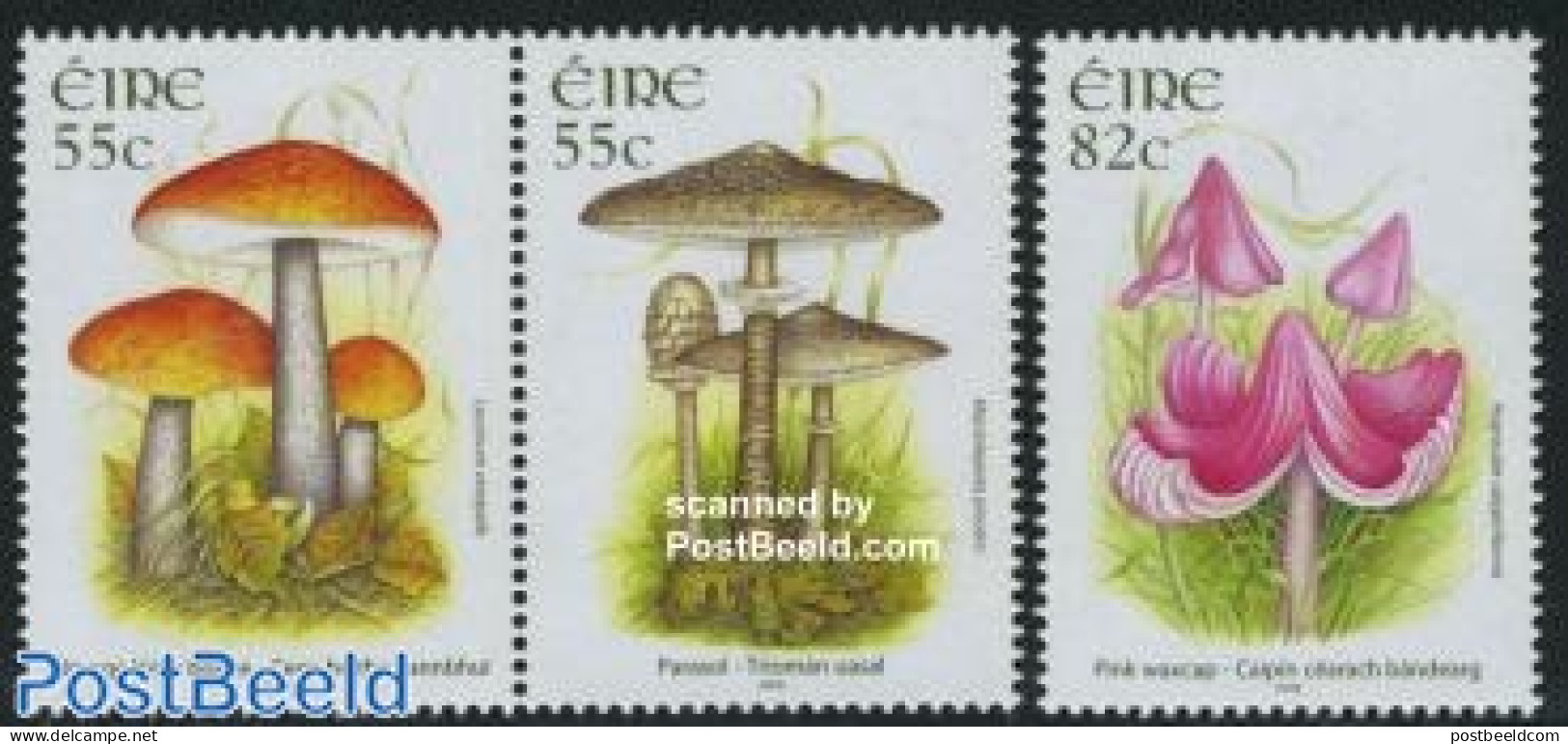 Ireland 2008 Mushrooms 3v (1v+[:]), Mint NH, Nature - Mushrooms - Unused Stamps