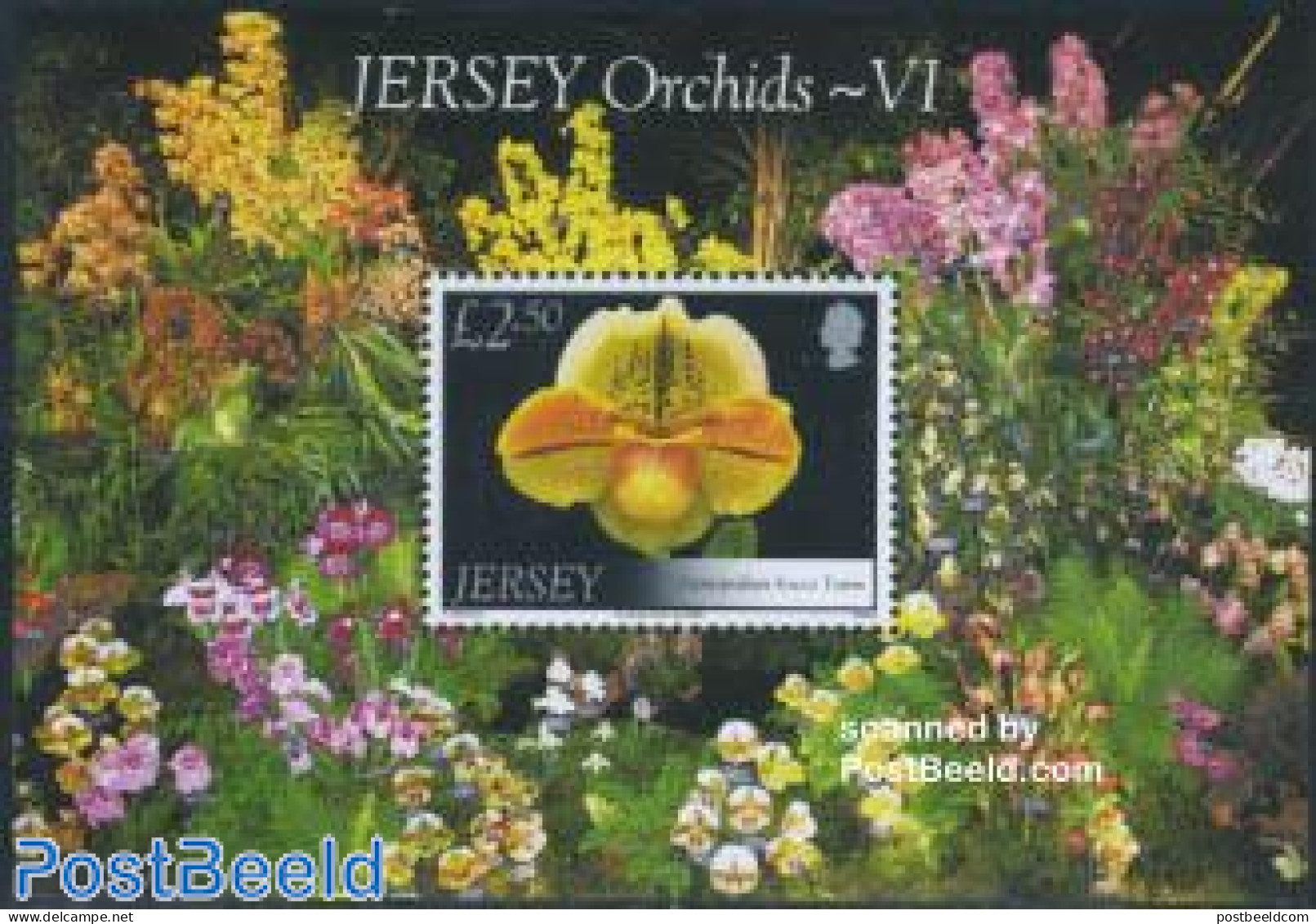 Jersey 2008 Orchids S/s, Mint NH, Nature - Flowers & Plants - Orchids - Jersey
