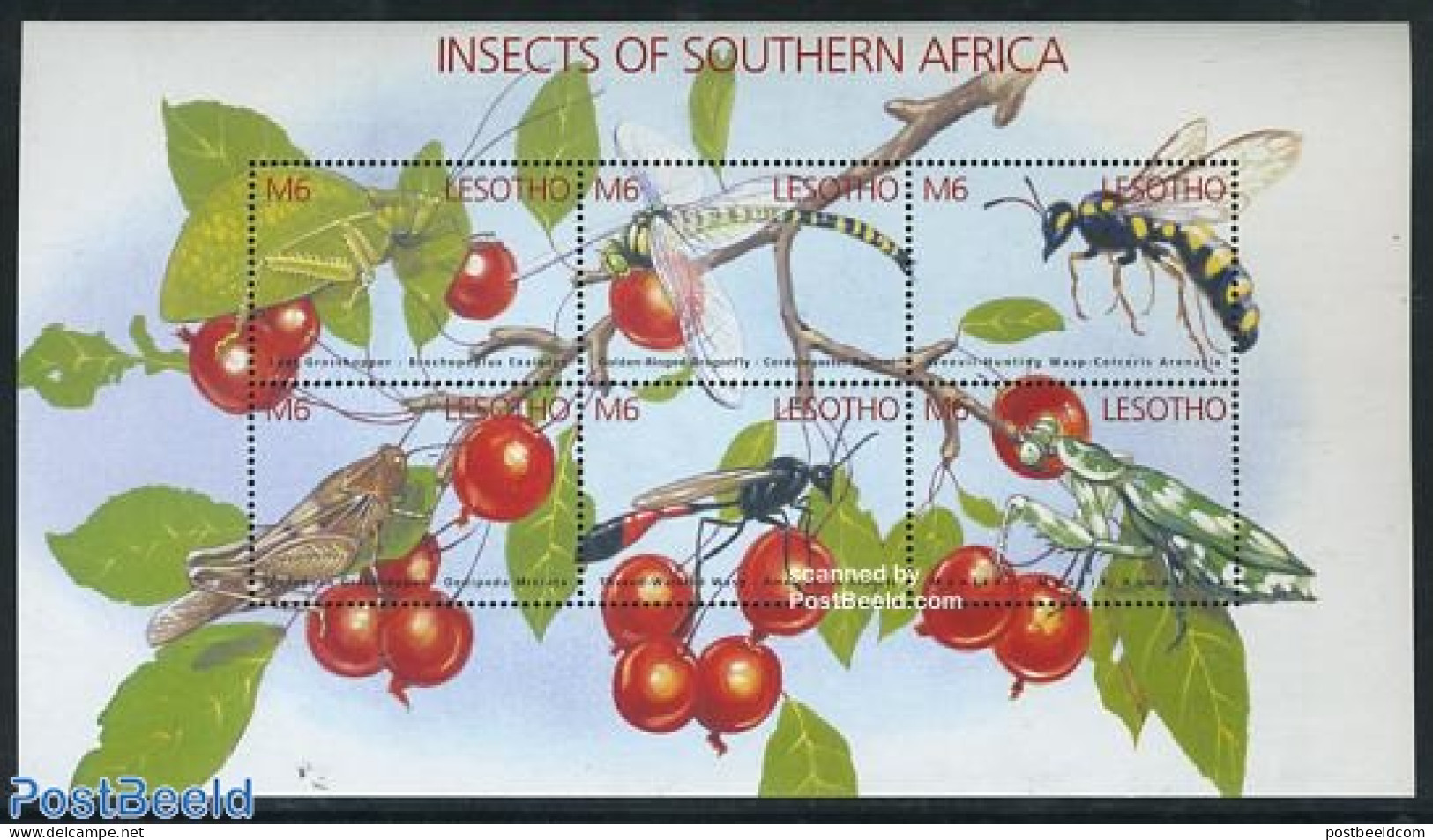 Lesotho 2002 Insects And Spiders 6v M/s, Mint NH, Nature - Insects - Lesotho (1966-...)