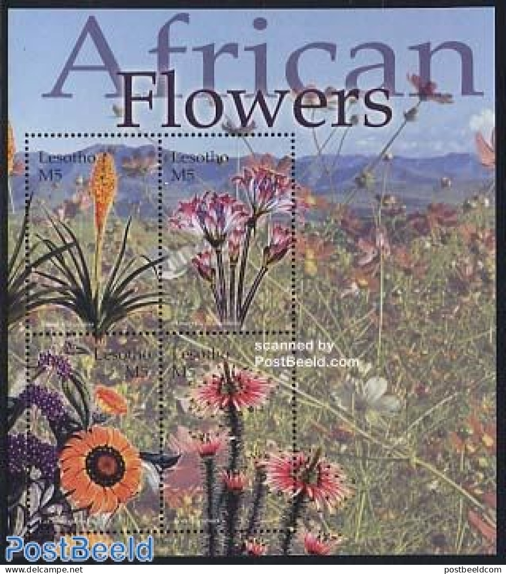 Lesotho 2004 Flowers 4v M/s, Kniphofia Uvari, Mint NH, Nature - Flowers & Plants - Lesotho (1966-...)