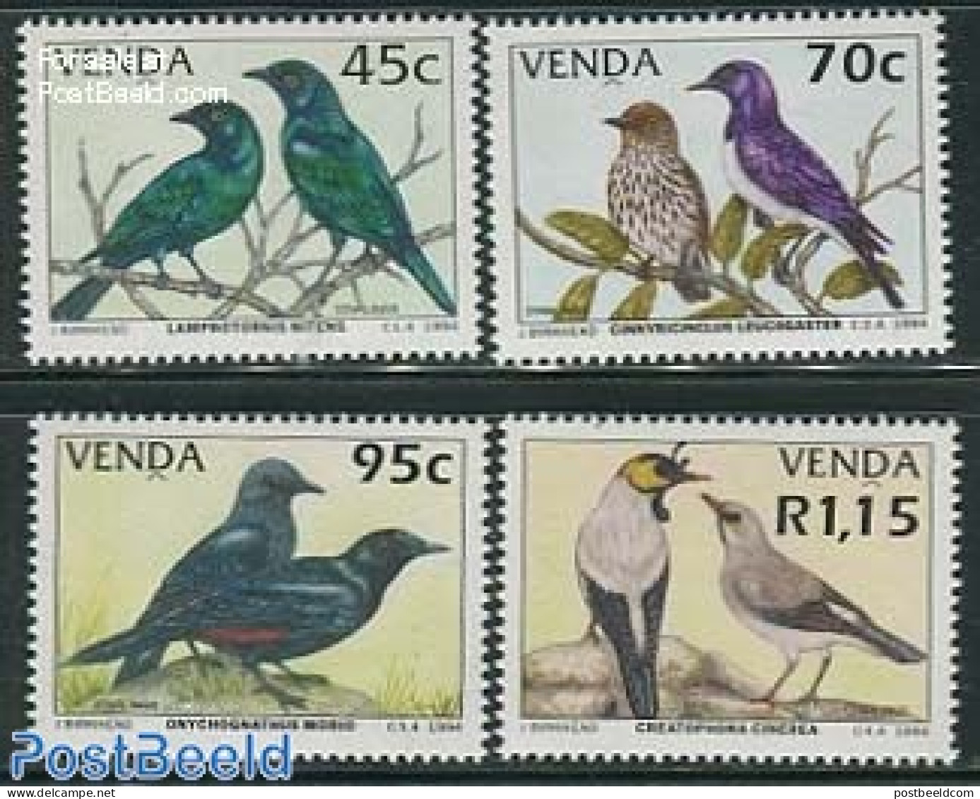 South Africa, Venda 1994 Birds 4v, Mint NH, Nature - Birds - Venda