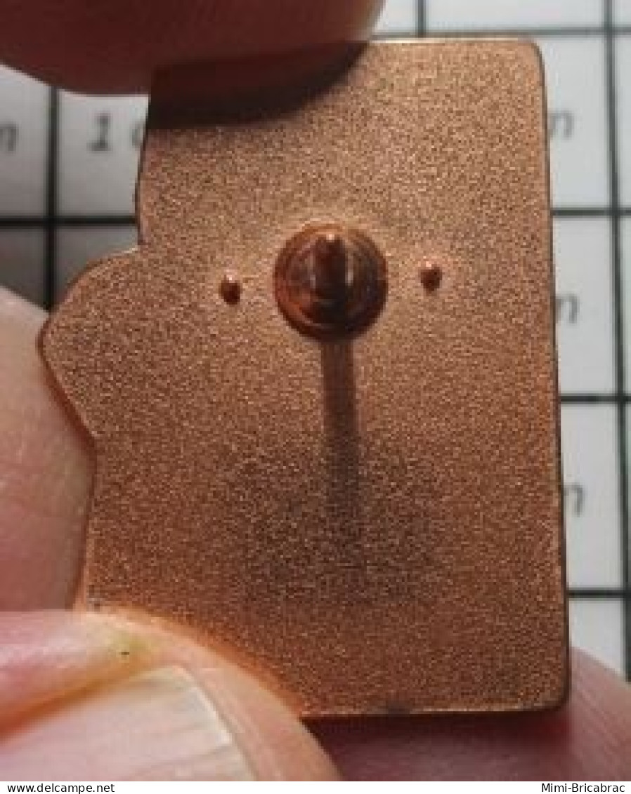 3517 Pin's Pins / Beau Et Rare / BIERES / MAITRE PRESSION PIN'S EN CUIVRE - Bierpins